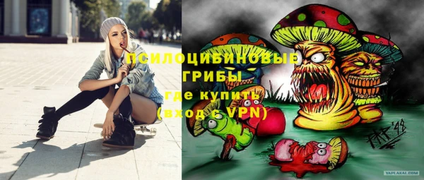 мет Алексин
